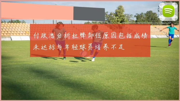 付政浩分析杜锋卸任原因包括成绩未达标与年轻球员培养不足